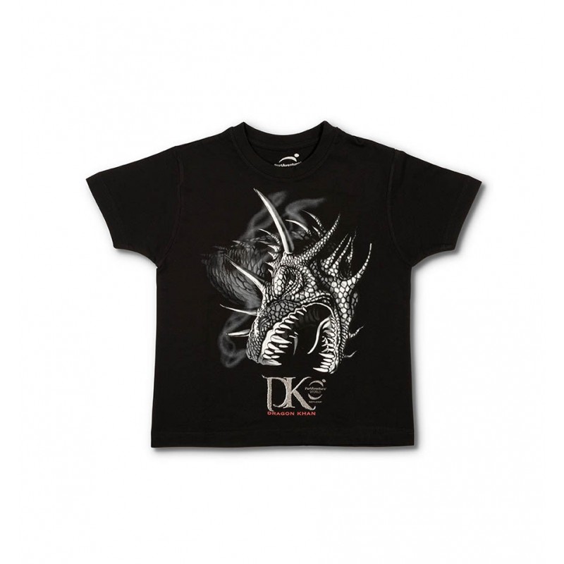 camiseta de dragon